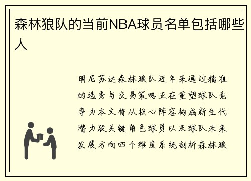 森林狼队的当前NBA球员名单包括哪些人